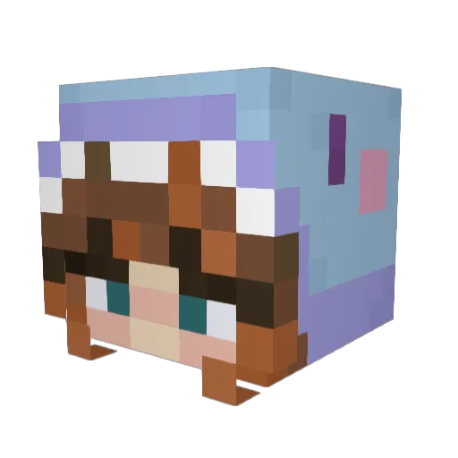 Jaspie_6752 Minecraft avatar head, 3D render