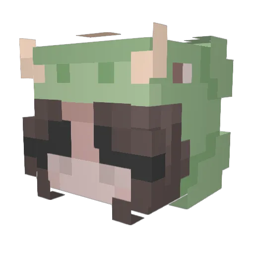 Jaspko Minecraft avatar head, 3D render
