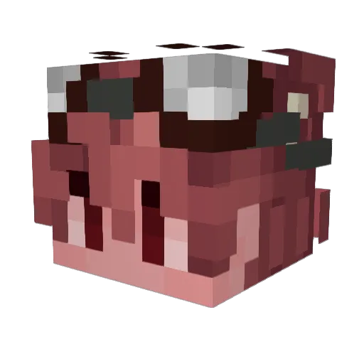 Jaspxrs Minecraft avatar head, 3D render