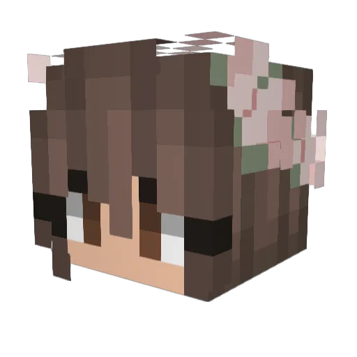 Jassi_197 Minecraft avatar head, 3D render