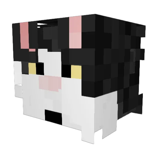 Jasso2006 Minecraft avatar head, 3D render