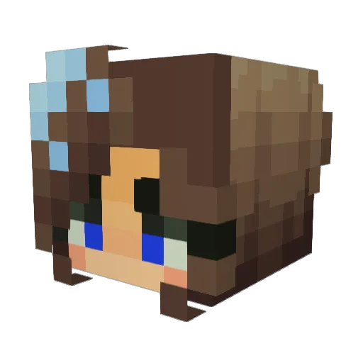 Jassy2701 Minecraft avatar head, 3D render