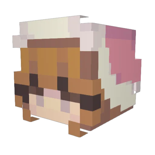 Jassymine24 Minecraft avatar head, 3D render