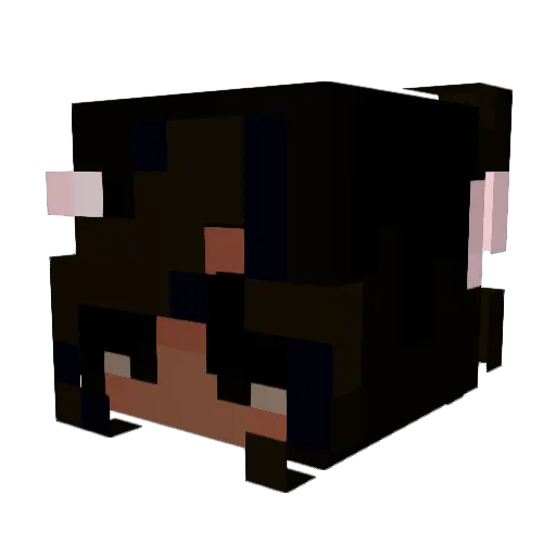 Jasu19 Minecraft avatar head, 3D render