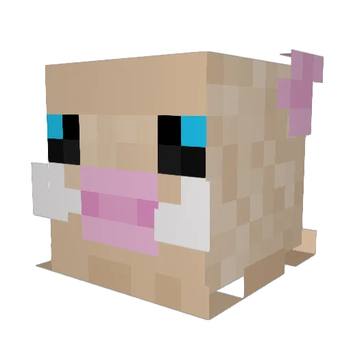 Jasu_kun Minecraft avatar head, 3D render