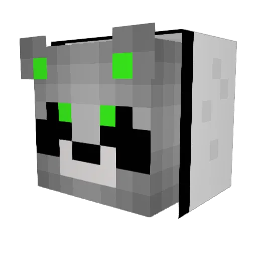 Jasuup Minecraft avatar head, 3D render