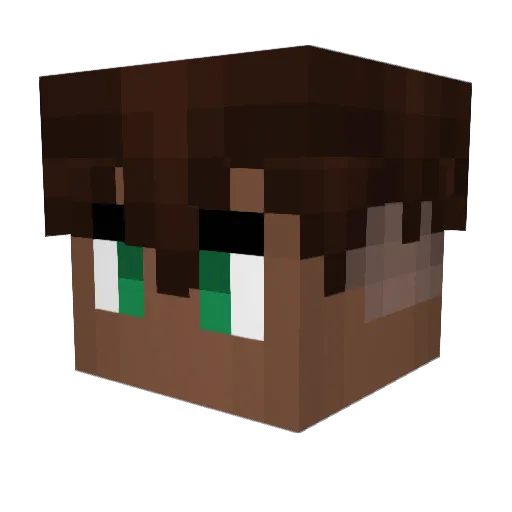 Jasztrab Minecraft avatar head, 3D render