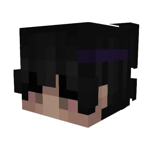 Jaunsss Minecraft avatar head, 3D render
