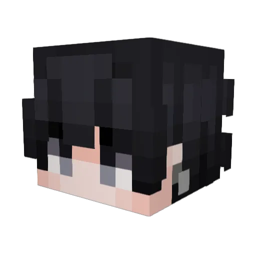 Java016 Minecraft avatar head, 3D render