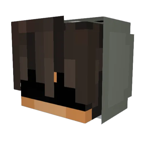 JavaEditionFame Minecraft avatar head, 3D render