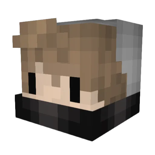 JavaEntwickler Minecraft avatar head, 3D render