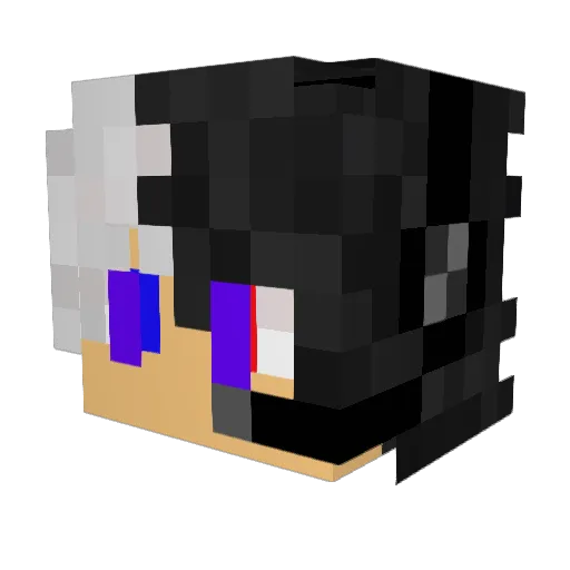 JavaPhysics Minecraft avatar head, 3D render