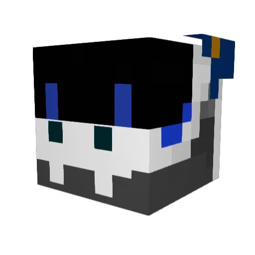 Java_Binary Minecraft avatar head, 3D render