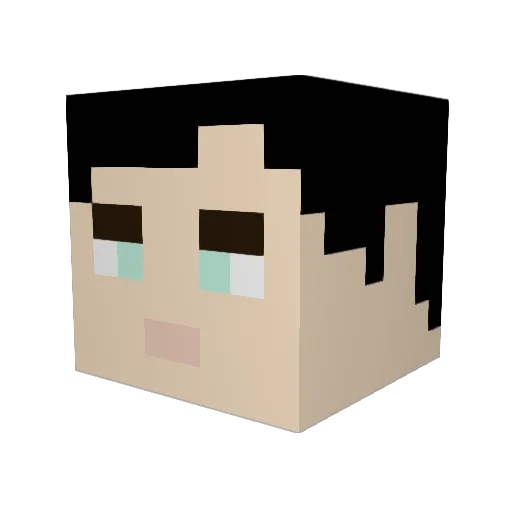Java_Crispr Minecraft avatar head, 3D render