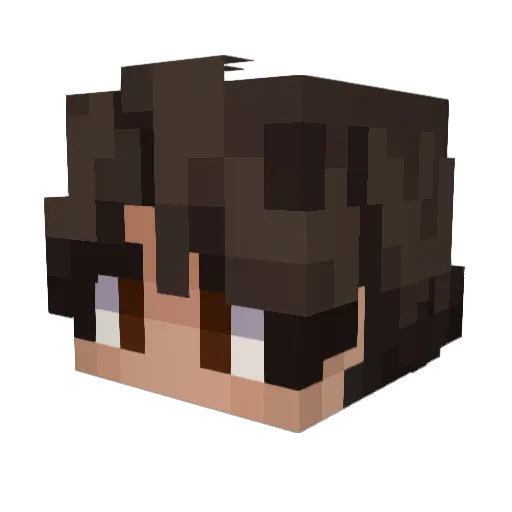Java_PhoenixYT Minecraft avatar head, 3D render