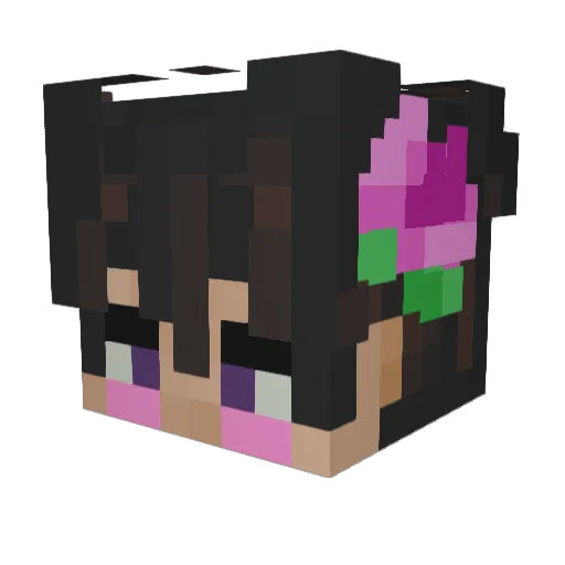 Javabeanz Minecraft avatar head, 3D render