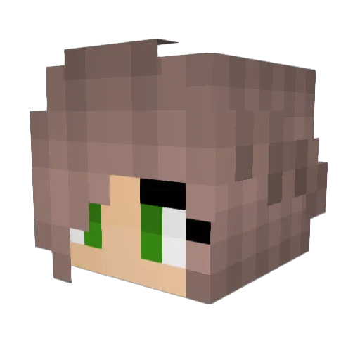 Javabear_07 Minecraft avatar head, 3D render