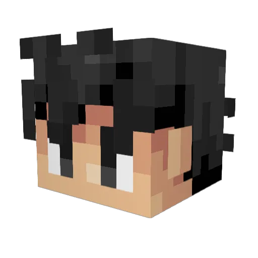Javaisbetter69 Minecraft avatar head, 3D render
