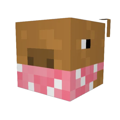 Javalauncher47 Minecraft avatar head, 3D render