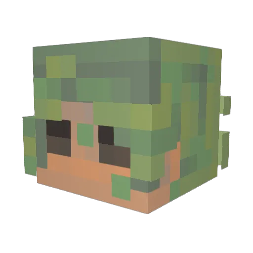 Javander Minecraft avatar head, 3D render