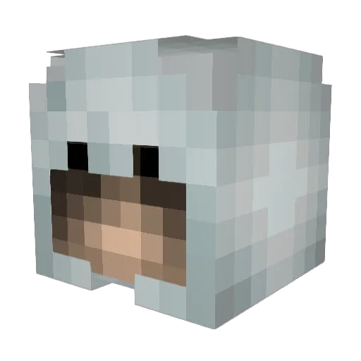 Javavia Minecraft avatar head, 3D render