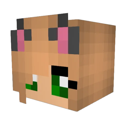JaviGamer75 Minecraft avatar head, 3D render
