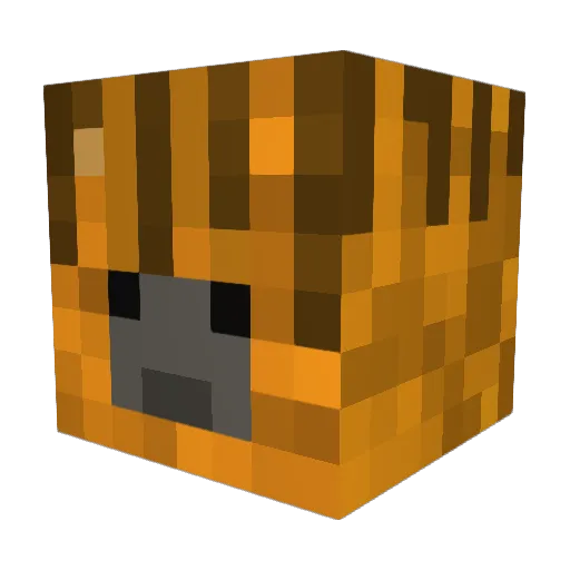 Javian103 Minecraft avatar head, 3D render