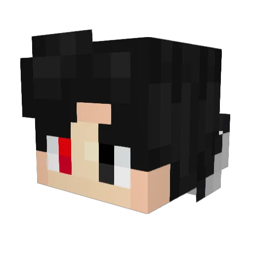 Javix99 Minecraft avatar head, 3D render