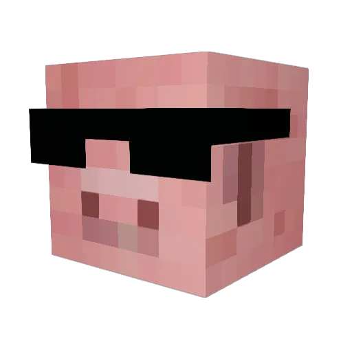 Jawesome265 Minecraft avatar head, 3D render