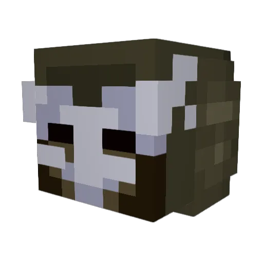 Jawnafin Minecraft avatar head, 3D render