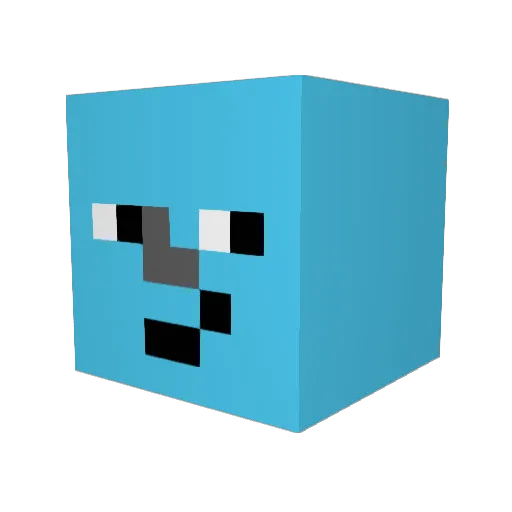 Jax212 Minecraft avatar head, 3D render