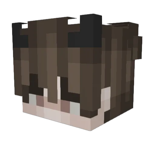 Jax2802 Minecraft avatar head, 3D render