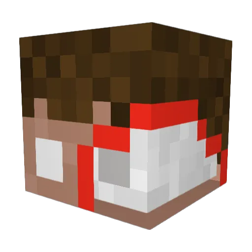 JaxCraft20 Minecraft avatar head, 3D render