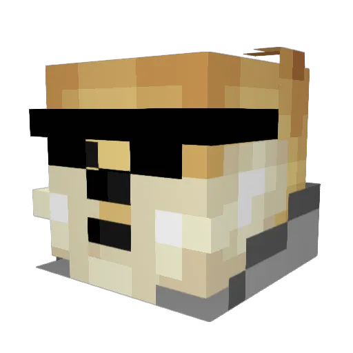 JaxInzo Minecraft avatar head, 3D render