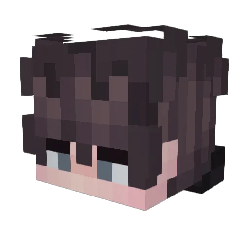 JaxTheCatLord2 Minecraft avatar head, 3D render