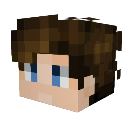 JaxTheWiseWizard Minecraft avatar head, 3D render