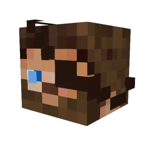 Jax_Cross Minecraft avatar head, 3D render