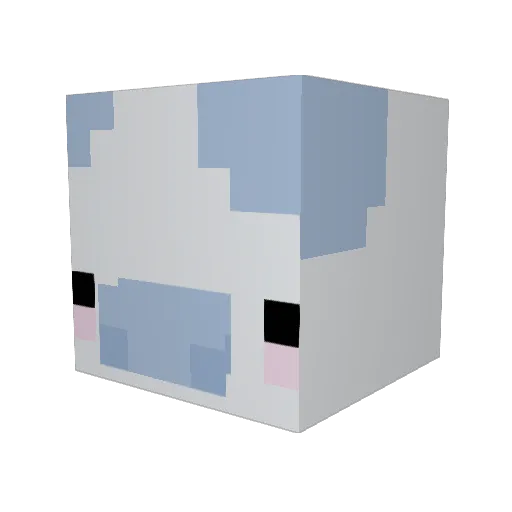 Jax__17 Minecraft avatar head, 3D render