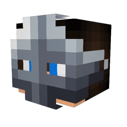 Jaxcage27 Minecraft avatar head, 3D render