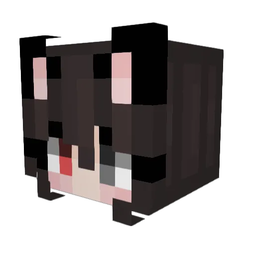 Jaxcat66 Minecraft avatar head, 3D render