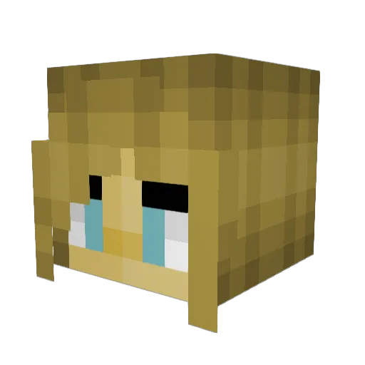 Jaxence Minecraft avatar head, 3D render