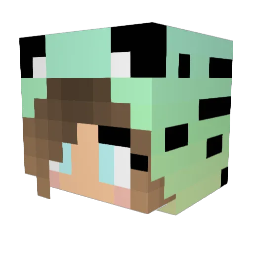 Jaximus3 Minecraft avatar head, 3D render