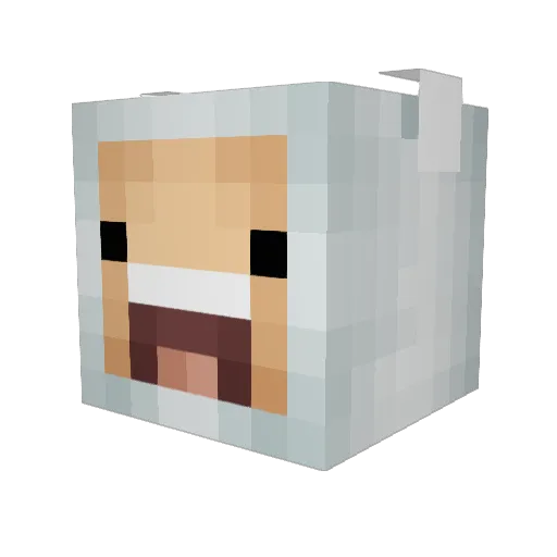 JaxonJoy Minecraft avatar head, 3D render