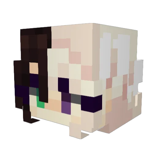 Jaxs_MC_Stories Minecraft avatar head, 3D render