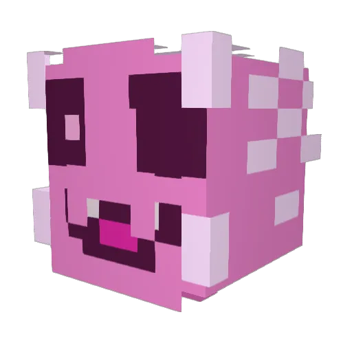 Jaxson00 Minecraft avatar head, 3D render