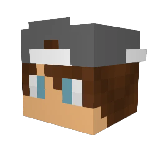 Jaxson14 Minecraft avatar head, 3D render