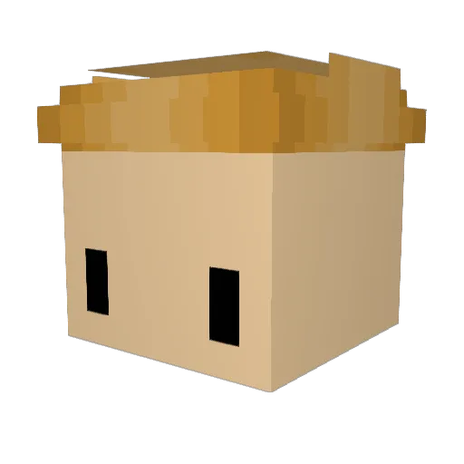 Jaxson4pm Minecraft avatar head, 3D render