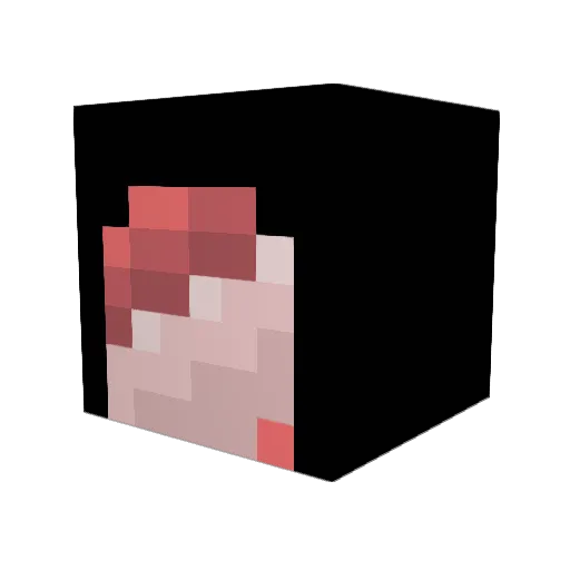 Jaxtrol Minecraft avatar head, 3D render