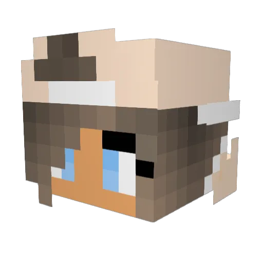 JaxxonGaming Minecraft avatar head, 3D render