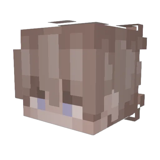 Jaxyn0 Minecraft avatar head, 3D render